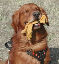 Smiling "Blue" with glove